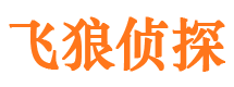 洛宁市侦探调查公司